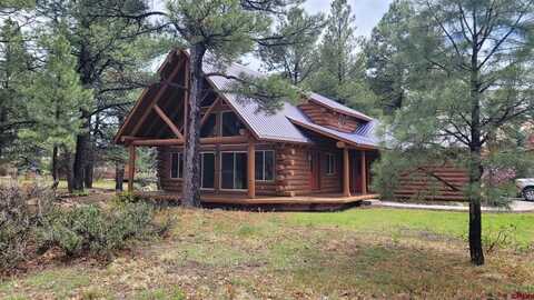 33 Fawn Court, Pagosa Springs, CO 81147