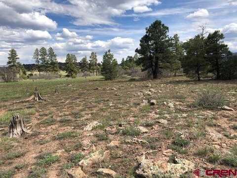 134 Prospect Boulevard, Pagosa Springs, CO 81147
