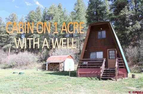 1015 E Stollsteimer Road, Pagosa Springs, CO 81147