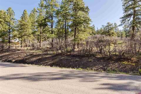 106 Granada Drive, Pagosa Springs, CO 81147