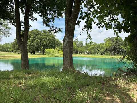 1412 Eagle St, Fredericksburg, TX 78624