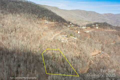 9 Chandra Lane, Clyde, NC 28721