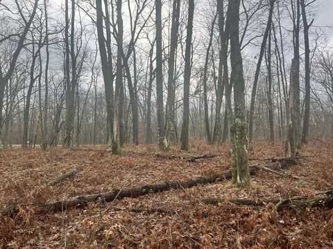 00 N Woodbridge Avenue, Bitely, MI 49309