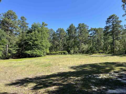 119 Lewis Court, Gilbert, SC 29054
