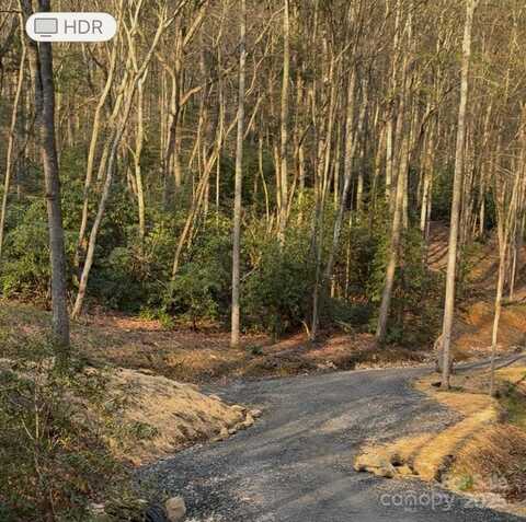 99999 Brooksong Drive, Asheville, NC 28805