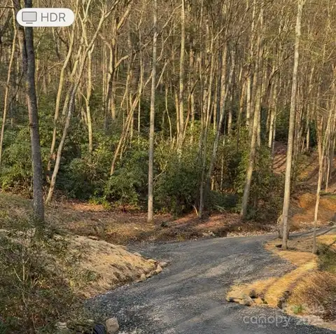 99999 Brooksong Drive, Asheville, NC 28805