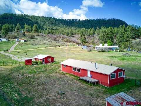 109 Carol's Curves, Pagosa Springs, CO 81147