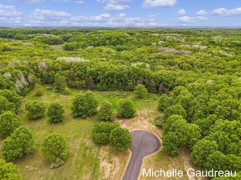 Parcel 6 Leaf Lane, Freeport, MI 49325