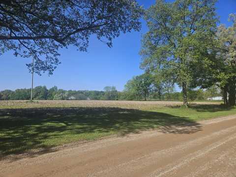 Jones Road, Bellevue, MI 49021