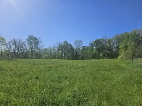 Jones Road, Bellevue, MI 49021