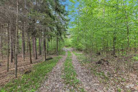 V/L E 8 Mile Rd, Luther, MI 49656