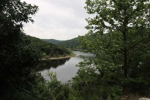 123 Joseph Cove Drive, Lampe, MO 65681