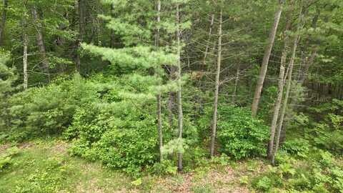 Lots 2 & 3 KAUFMAN ROAD, Tomahawk, WI 54487