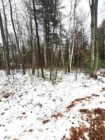 Lots 2 & 3 KAUFMAN ROAD, Tomahawk, WI 54487