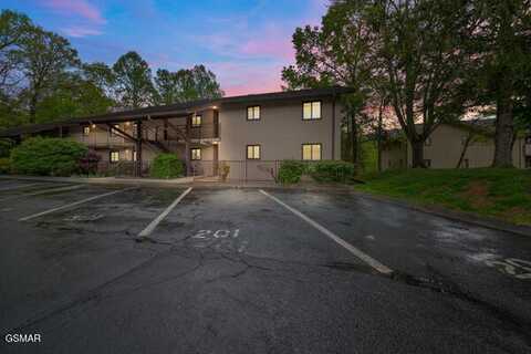 221 Woodland Road, Gatlinburg, TN 37738