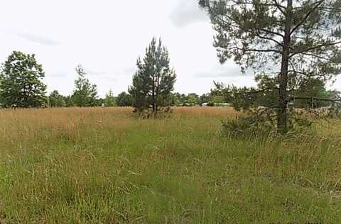0 HANGING MOSS TRAIL, Cottonwood, AL 36320