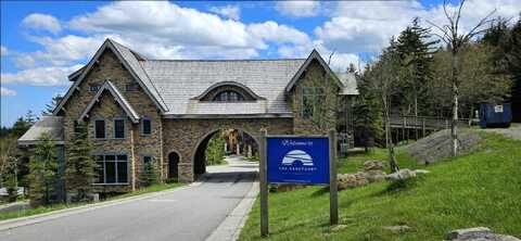 157 Meadows Drive, Snowshoe, WV 26209