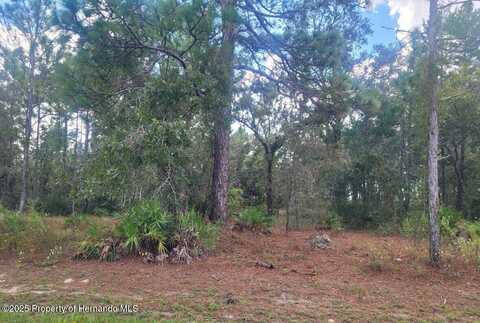0 MAYBIRD Avenue, Weeki Wachee, FL 34613