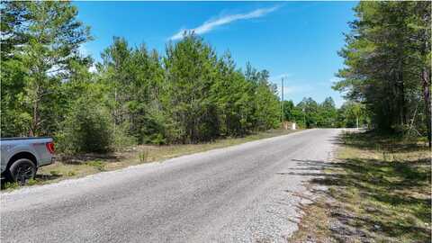 Tbd E Lafavre East Lane, DeFuniak Springs, FL 32433
