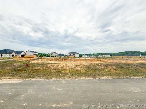 12 Crusher (Lot 84) Drive, Parkton, NC 28371