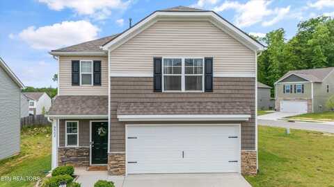 9502 Joy Denise Lane, Heiskell, TN 37754