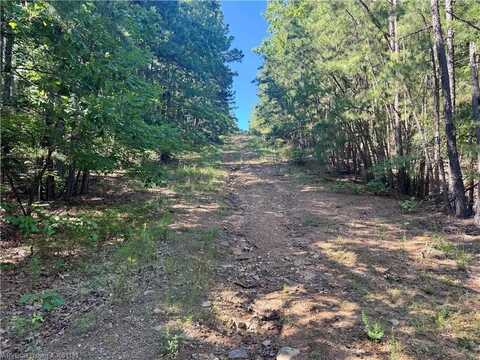 01 Hamilton Hill RD, Booneville, AR 72927