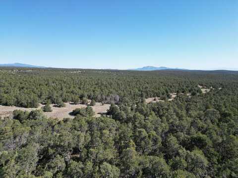 Tract 2 Gonzales Road, Edgewood, NM 87015