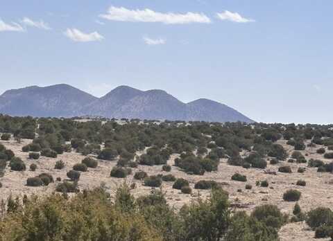 Lot 173 Pinon Springs Ranch, Magdalena, NM 87825