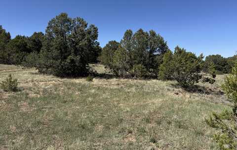 Tract 3 Gonzales Road, Edgewood, NM 87015