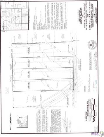 Lot 3-a-1 Aikens Rd, Prairieville, LA 70769
