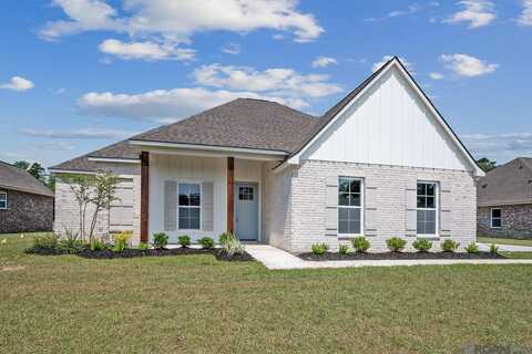 14641 Carroll Ave, Walker, LA 70785