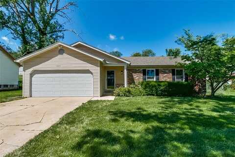 11675 Helenoak Drive, Black Jack, MO 63033