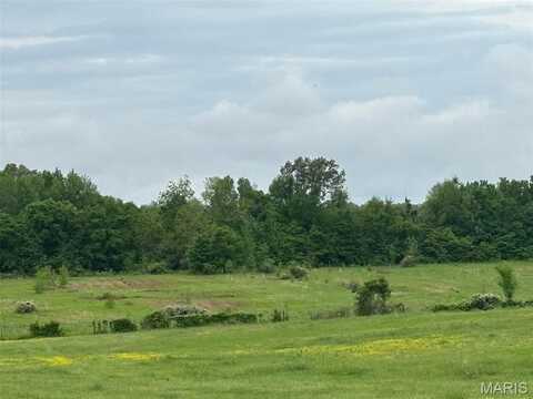 .0 County Road 249, Bloomfield, MO 63825