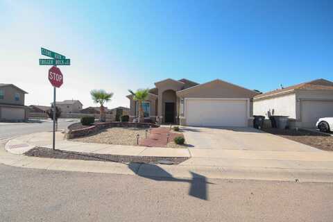 14244 TRIGGER ROCK Lane, El Paso, TX 79938