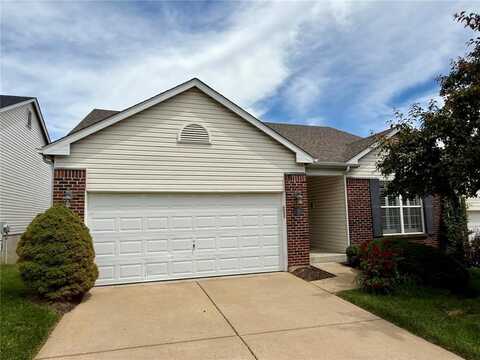 156 Carytown Lane, Florissant, MO 63034