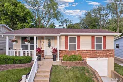 3018 Wismer Avenue, Saint Louis, MO 63114