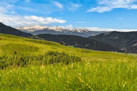 2500 Big Bear Road, Gallatin Gateway, MT 59730
