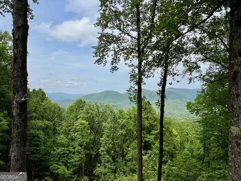 M163 Walnut Ridge, Ellijay, GA 30536
