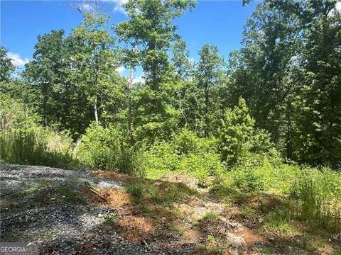 75 Hope, Ellijay, GA 30540