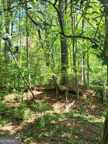 0 NW Grove Park, Atlanta, GA 30318