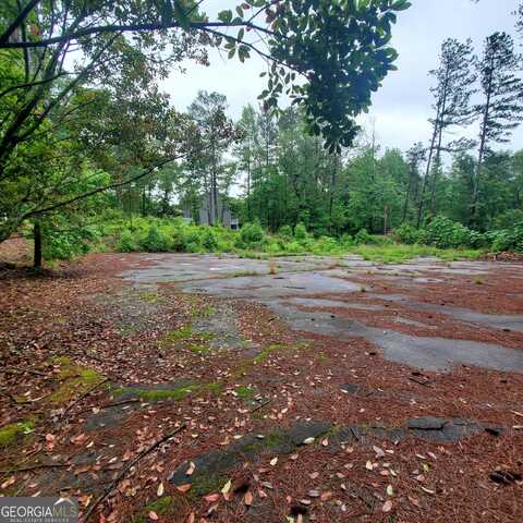 737 DEERING, Conyers, GA 30094