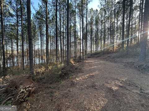 1708 Blue Creek, Hogansville, GA 30230
