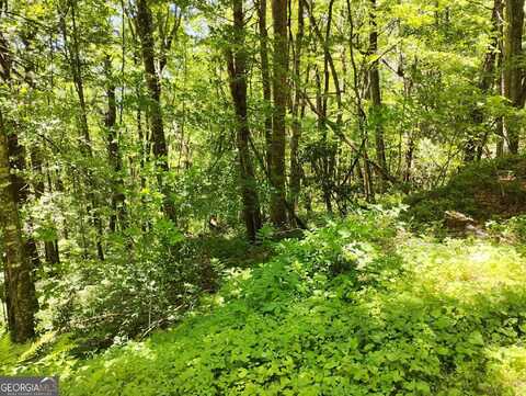 0 LaBelle Circle, Sky Valley, GA 30537
