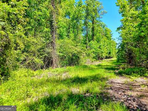 135 (lot 5) Whispering Dale, Clarkesville, GA 30523