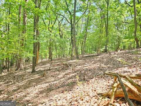 0 Turnbury, Jasper, GA 30143