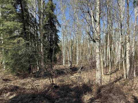 3330 MOONSHINE RUN, Fairbanks, AK 99709