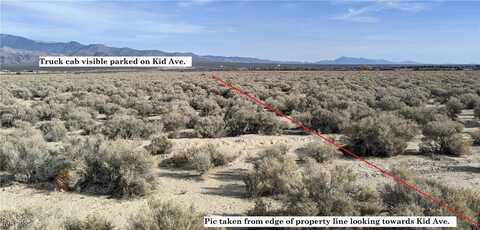 3950 S Kid Avenue, Pahrump, NV 89048