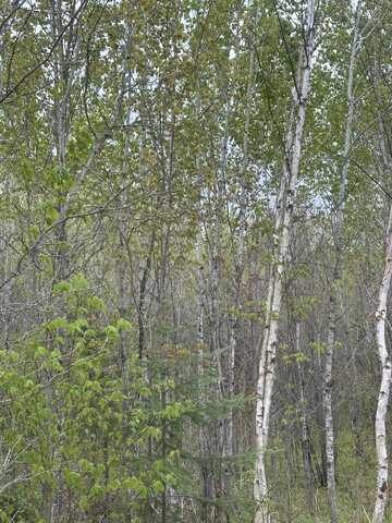 On LONG SHOT LN, Minocqua, WI 54548