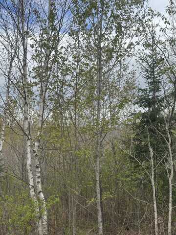 Near CAMP NINE RD, Minocqua, WI 54548