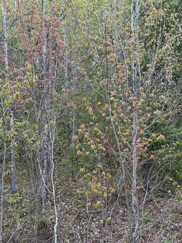 Near CAMP NINE RD, Minocqua, WI 54548